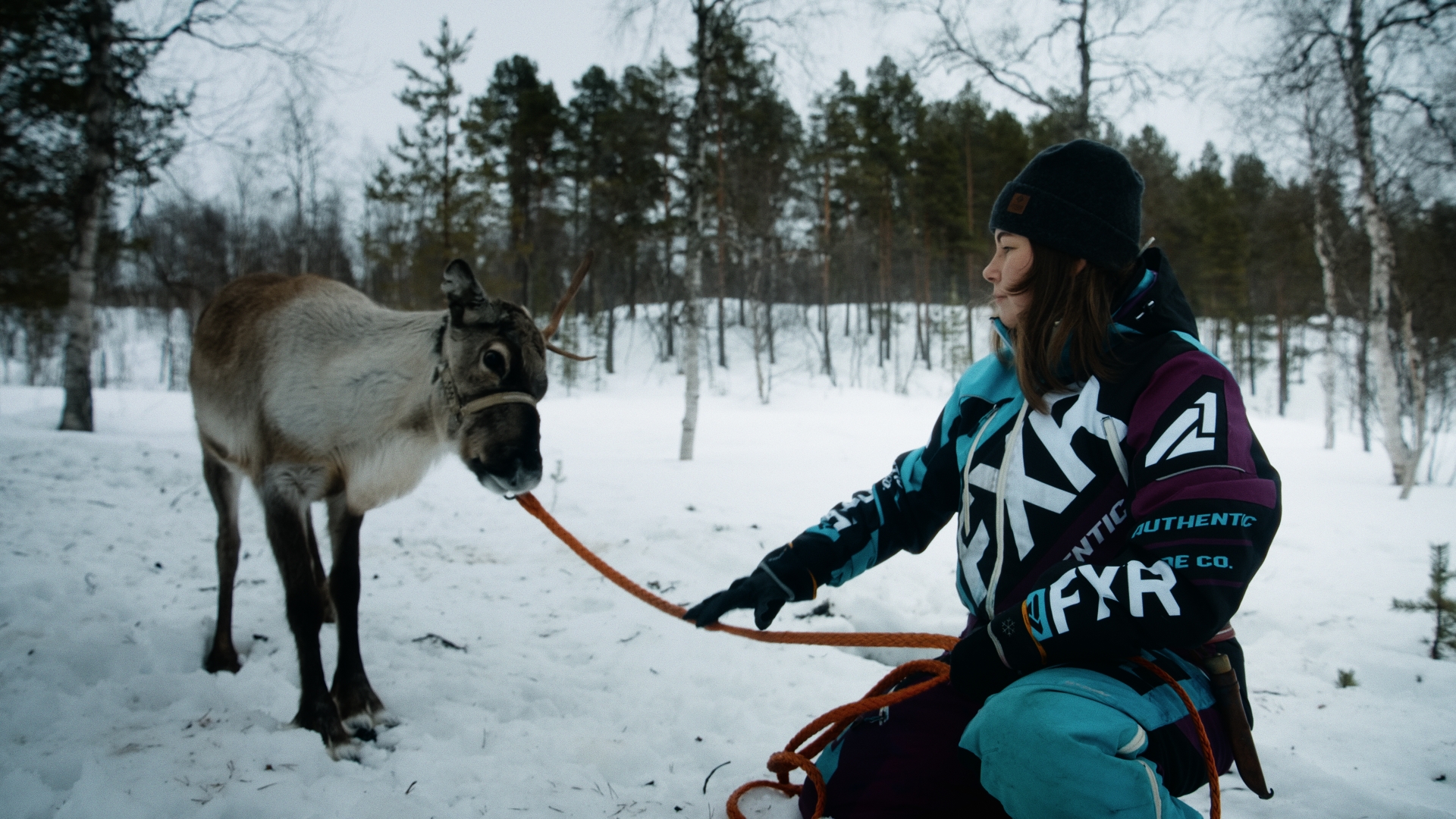 The value of reindeer in sami culture